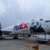 beibei-2-shrink.jpg
