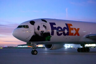 FedEx_Panda_2.jpg