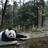 tiantian003.jpg