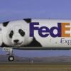 pandaplane.jpg