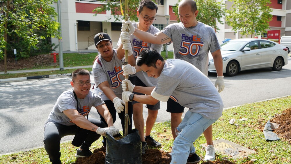 FedEx Express - Tree Planting in Singapore 