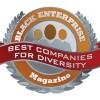 diversity-logo2.jpg
