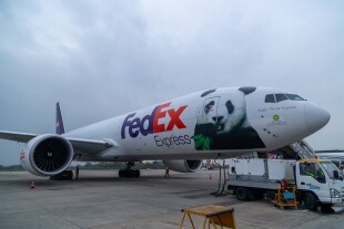 beibei-2-shrink.jpg
