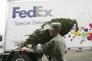 trees-for-troops.jpg