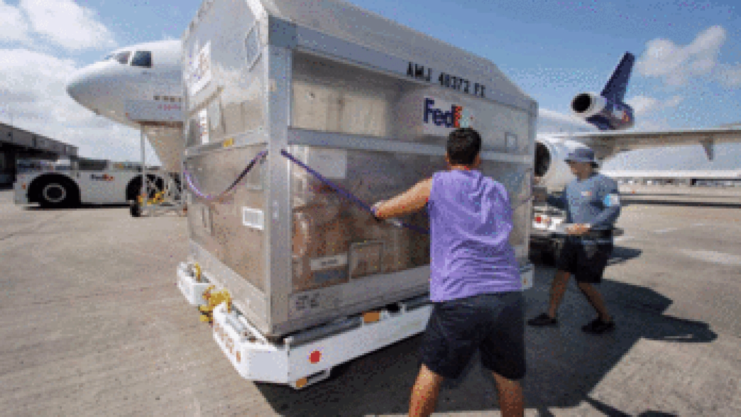 FedEx Donates Aid Supply Flight to Dominican Republic Flood Victims