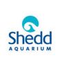 shedd2.jpg