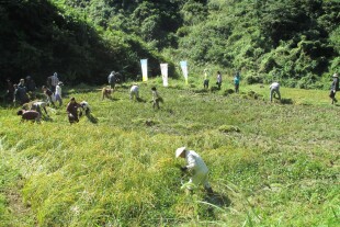 tambo写真-001-16.jpg