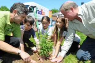 treeplanting.jpg