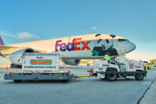 FedEx_Panda_1.png