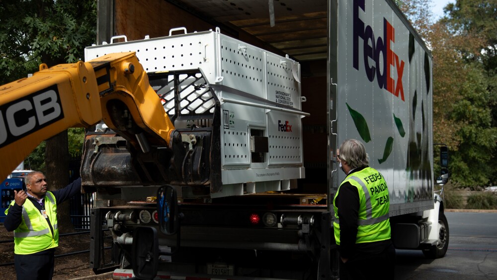 P7_Giant pandas were taken by FedEx truck.jpg
