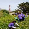 eso-sf-golden-gate.jpg