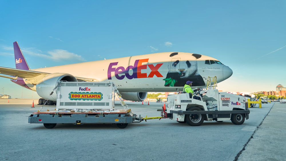 FedEx_Panda_1.png