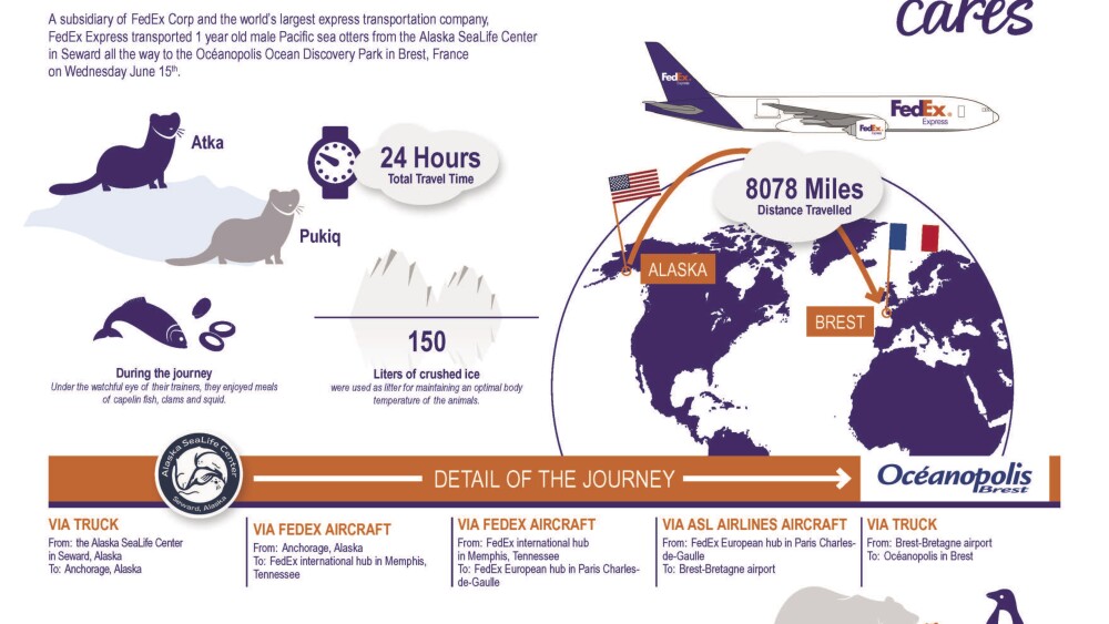 updated-infographic-eng.jpg