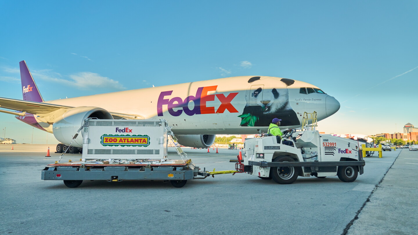 Official image for FedEx transports giant pandas Ping Ping and Fu Shuang to Zoo Atlanta