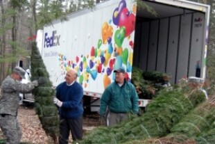 treesfortroops.jpg