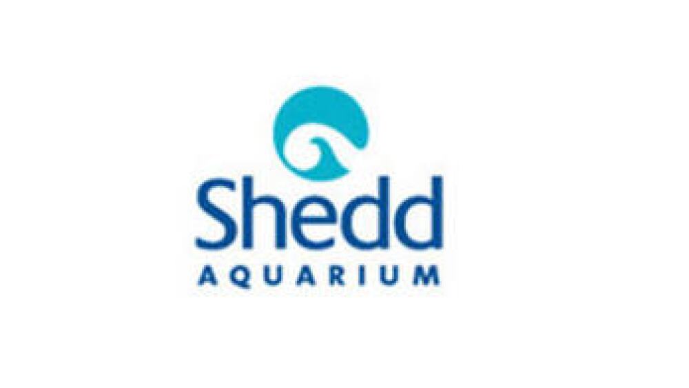 shedd2.jpg