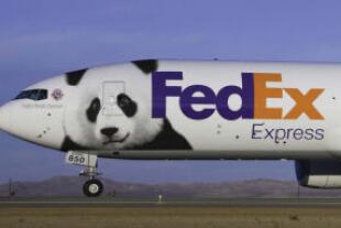pandaplane.jpg