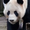 yangguang002.jpg