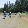 taue.jpg