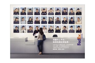 halo平面广告.jpg