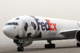 photo-1-web.jpg