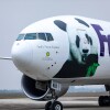 panda8.jpg