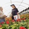 fedex-flowers.jpg
