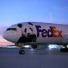 Panda move3