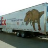 fcc-trex-truck1.jpg