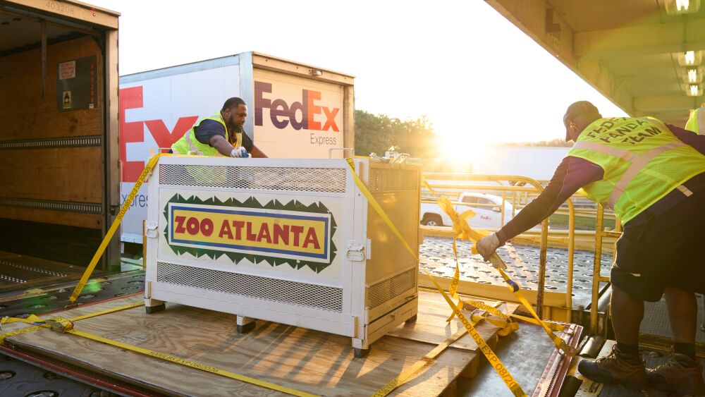 P2_FedEx transported four giant pandas from the U.S. to China.jpg
