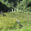 tambo写真-001-16.jpg