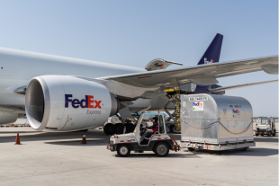 Press Photo_FedEx Offers Same-day Delivery Service for Fresh Fruits from Korea to Hong Kong.png