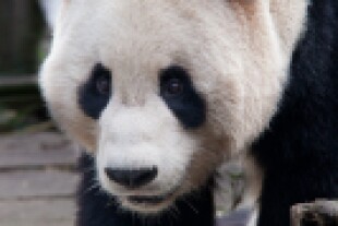 yangguang002.jpg