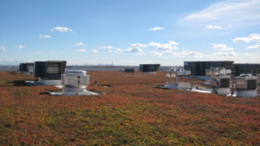 green-roof-pretty.jpg