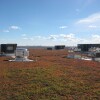 green-roof-pretty.jpg