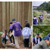 FedEx Hiking.png