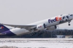 fedexpandaexpress.jpg