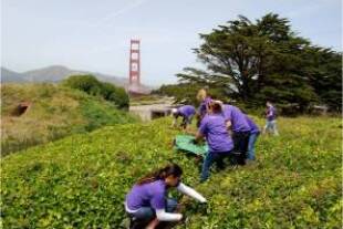 eso-sf-golden-gate.jpg
