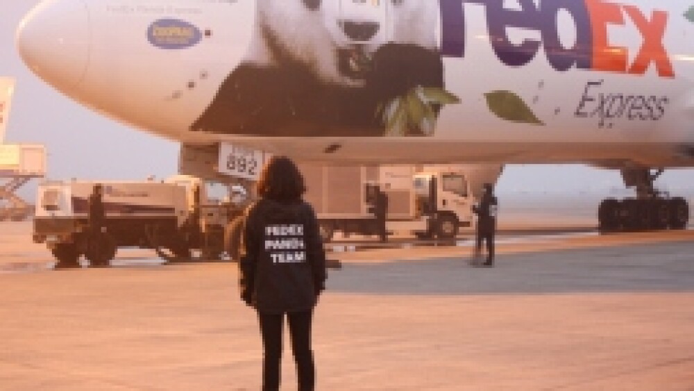 fedex-panda-express-boeing-777f-ready-for-take-off.jpg