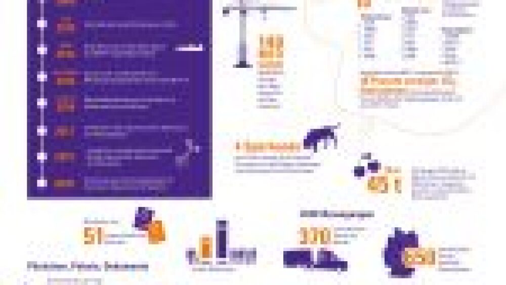 fedex-infografik-cgnh-quadrat-v1-150x150.jpeg