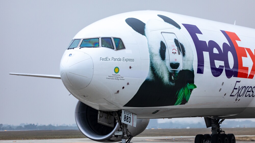 panda8.jpg