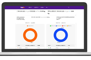 FedEx® Sustainability Insights