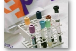 test-tubes.jpg