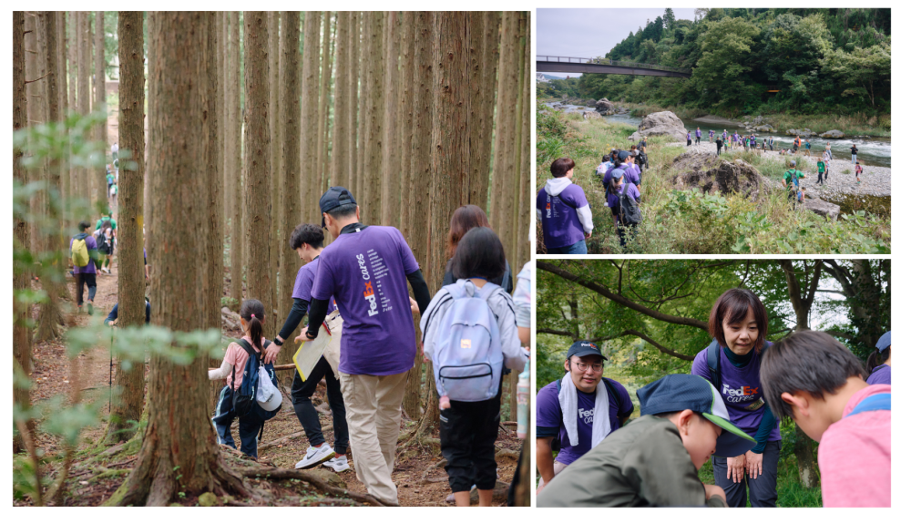 FedEx Hiking.png