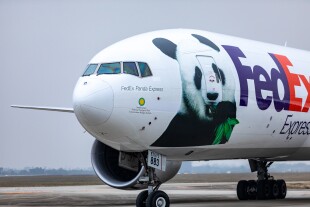 panda8.jpg