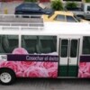 flowers.jpg