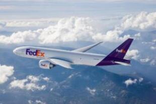 7771.jpg
