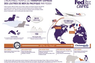 maj-infographie-fr.jpg