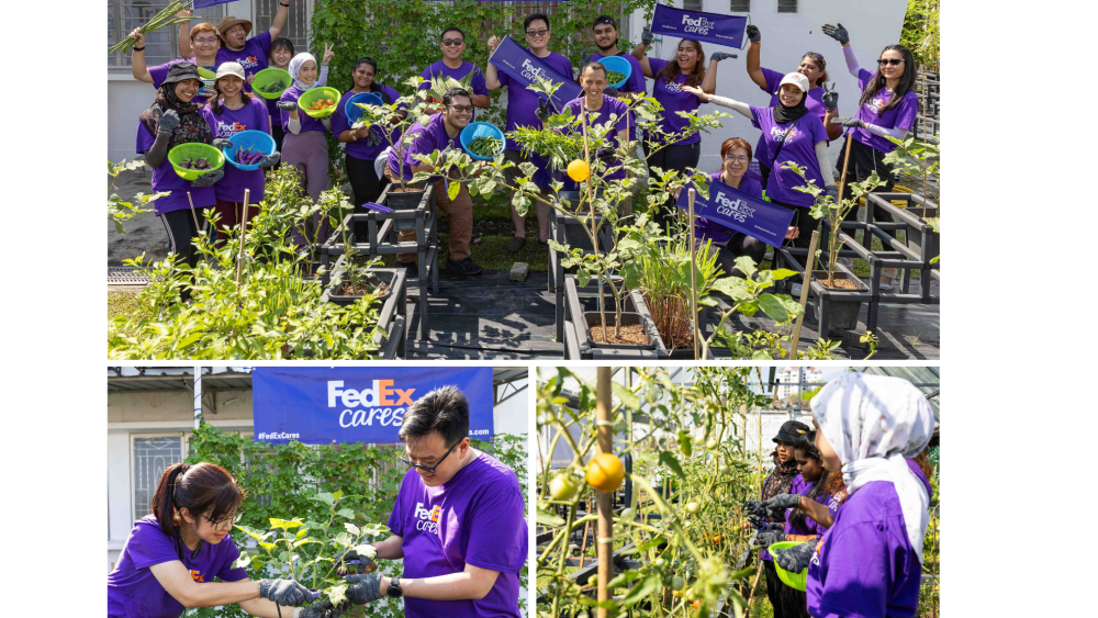 FedEx CSR Vegetable Garden hh.png