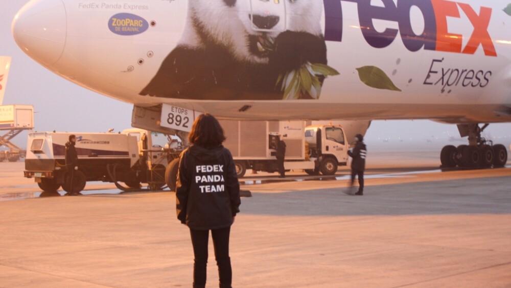 fedex-panda-express-boeing-777f-ready-for-take-off.jpg